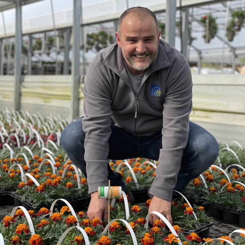 Portrait moniteur jardinerie horticulture, souriant dans une serre avec géraniums