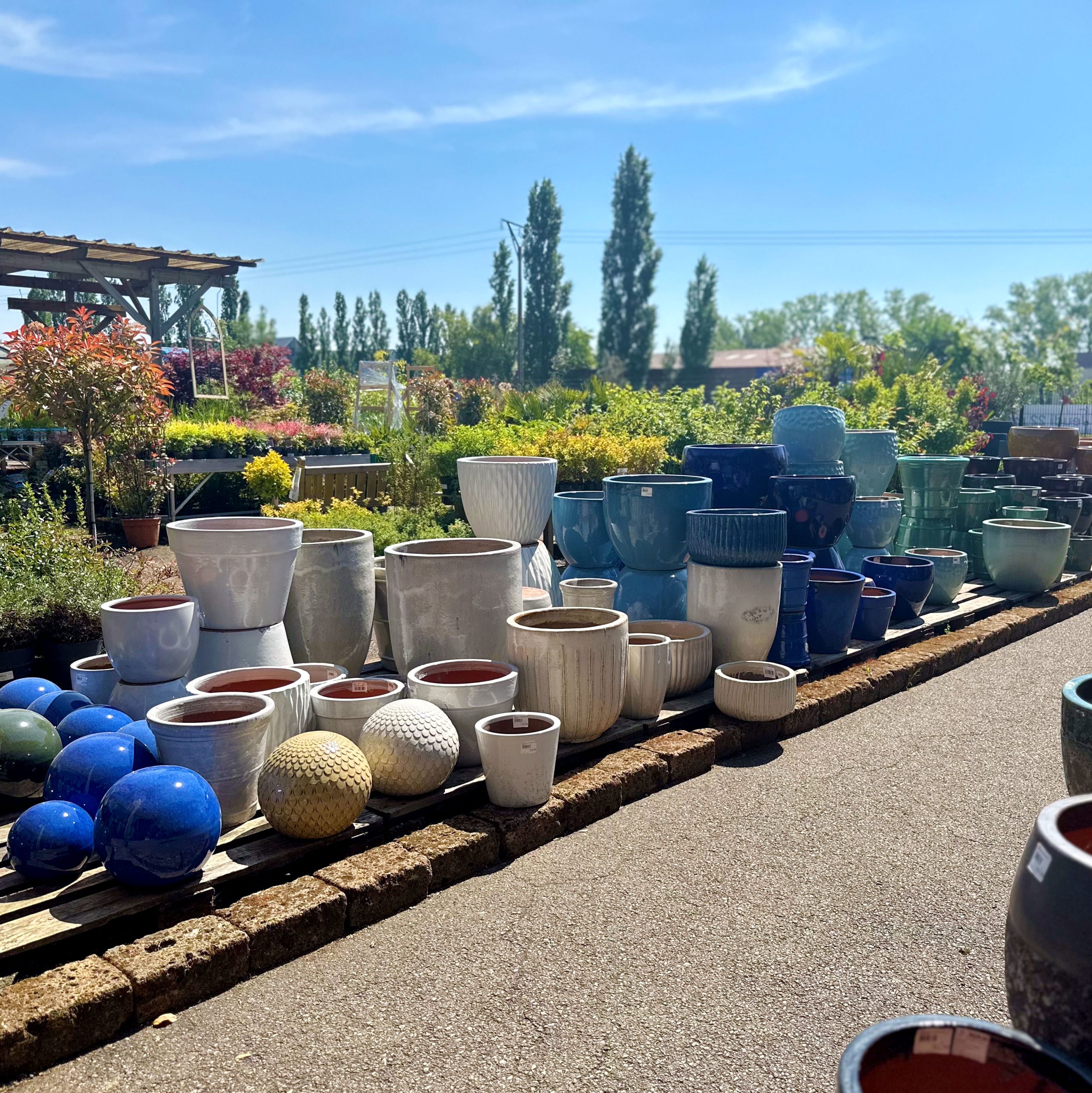Sonnenhof - indispensables du jardinier