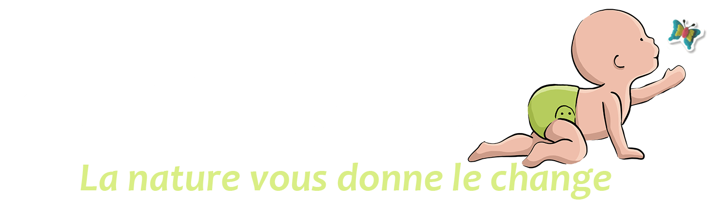 Logo société Zébulange