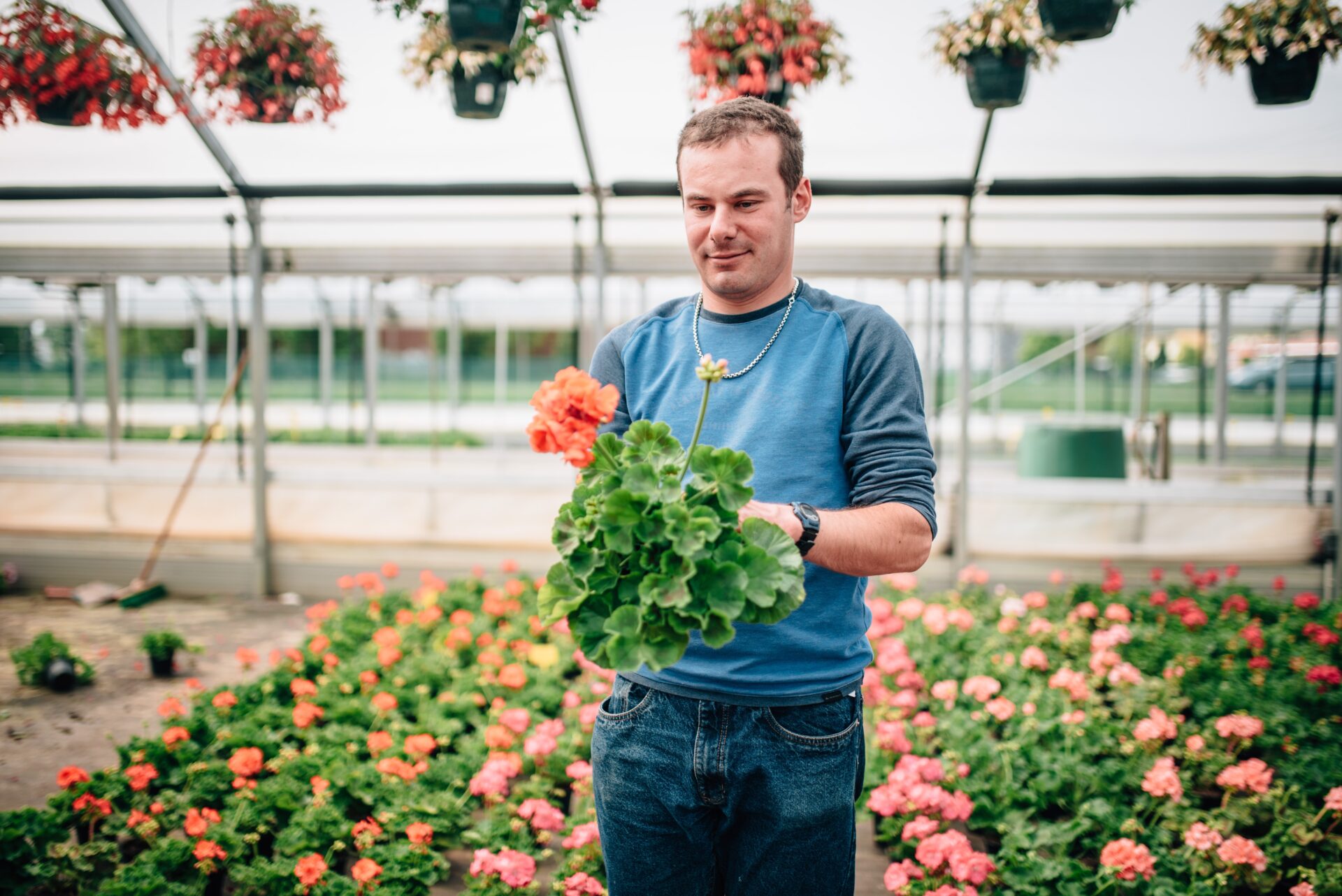 Portrait travailleur handicapé en horticulture tenant des plantes dans une serre