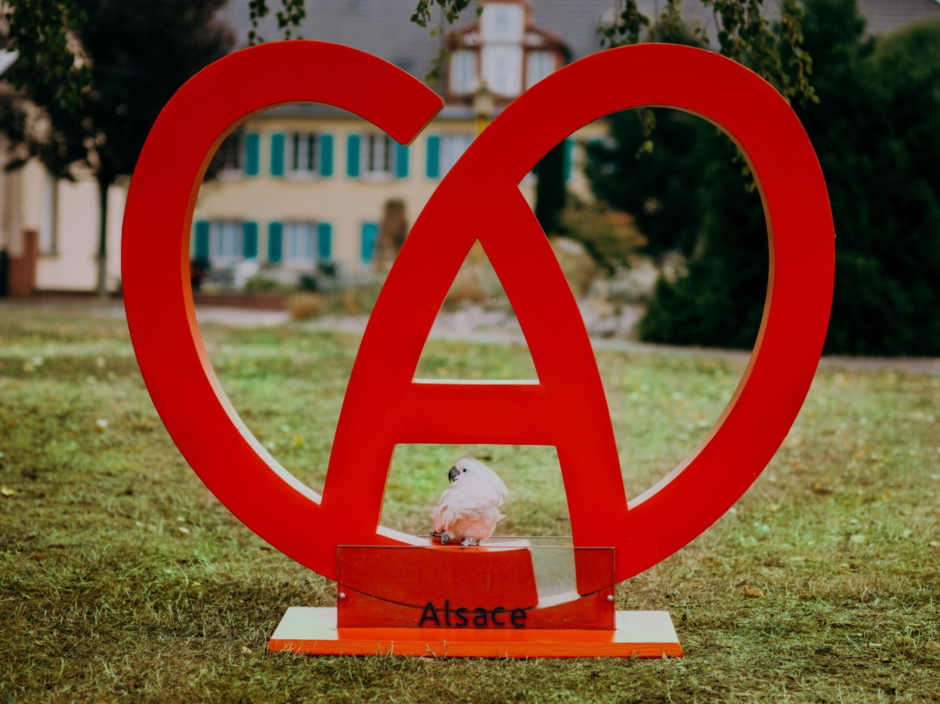 Zoom sur logo Alsace devant la fondation Sonnenhof avec perroquet mascotte